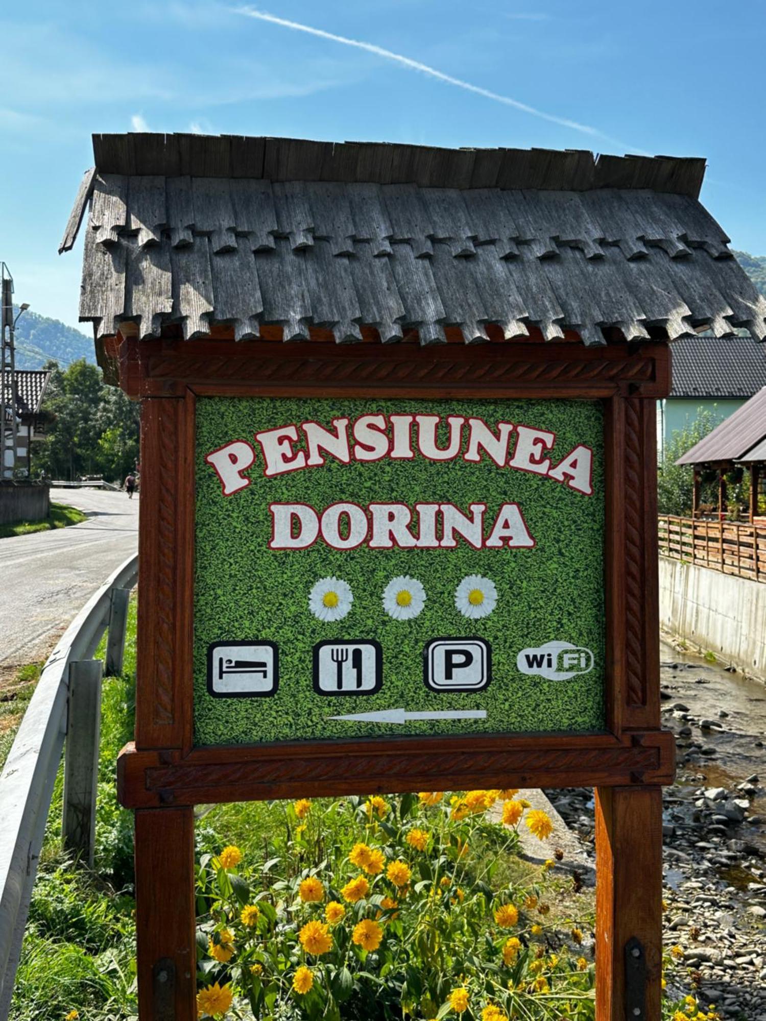 Pensiunea Dorina Botiza Buitenkant foto