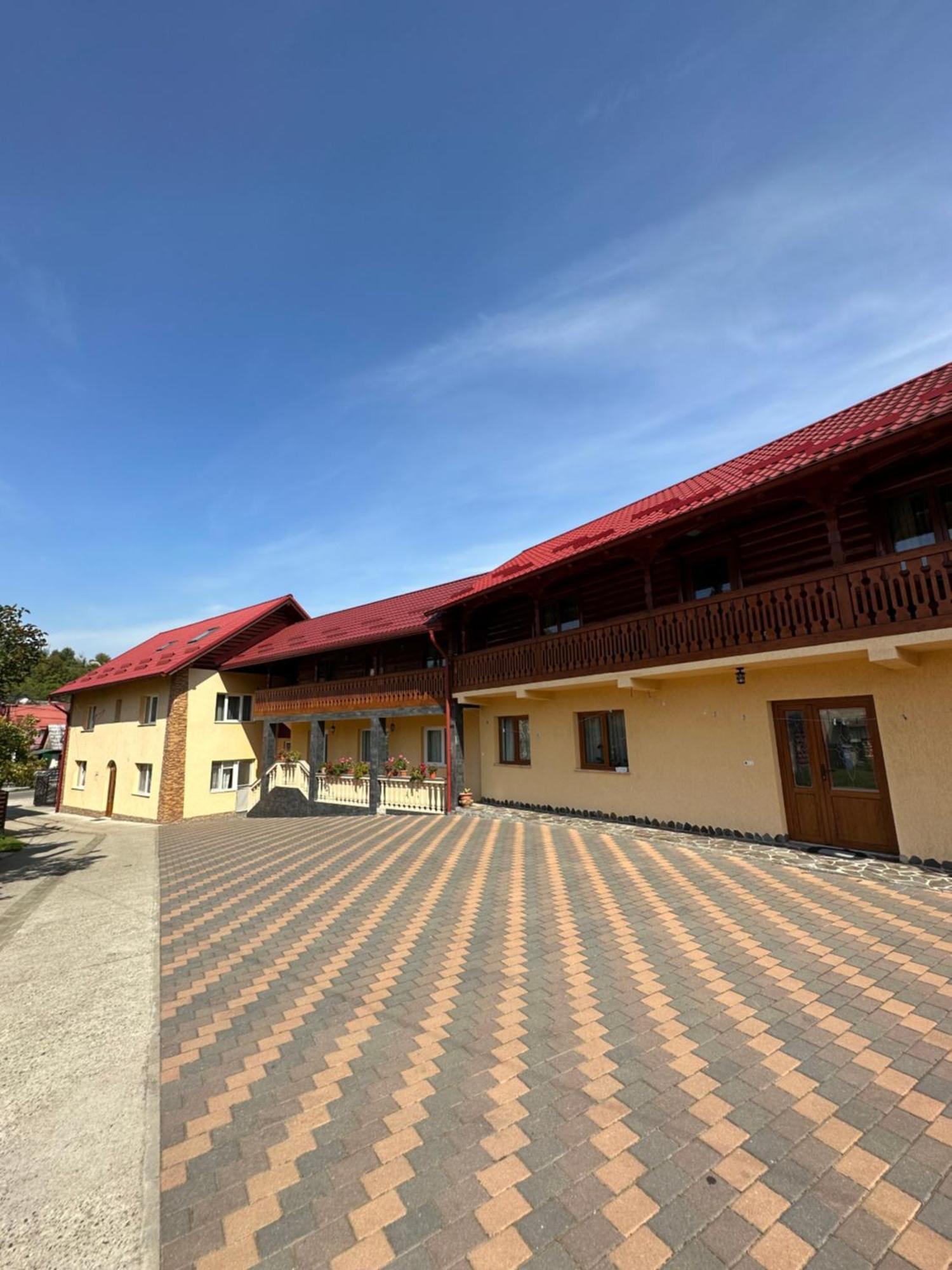 Pensiunea Dorina Botiza Buitenkant foto